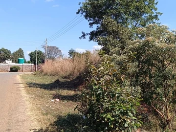 Stands & Residential Land