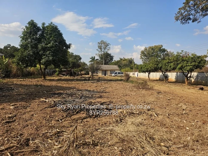 Residential Stand for Sale in Quinnington