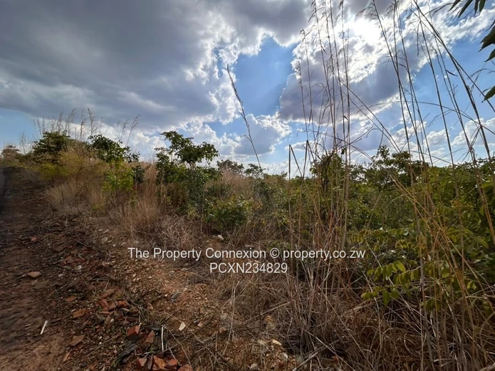 | Best Opportunity to Acquire a Good Investment Home, Buckland Estate |