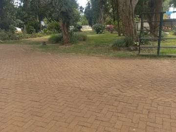 Shop & Retail Property