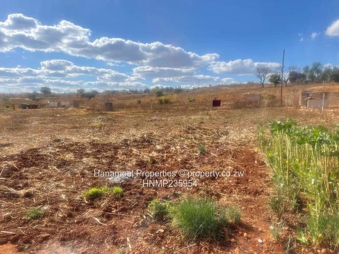 Glen Forest Stand For Sale (Sole Mandate)