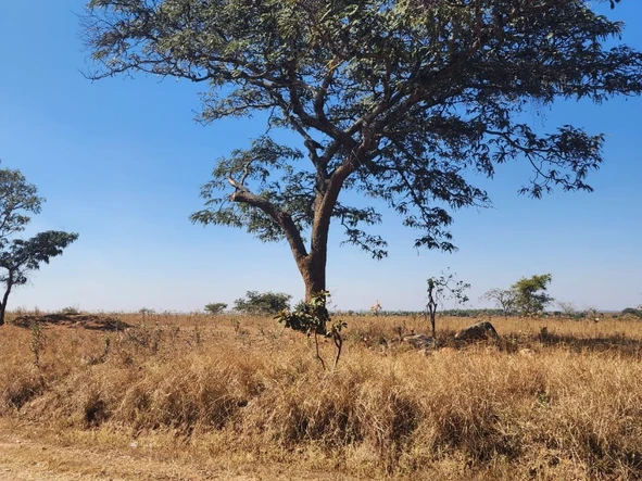 Farm & Agricultural Land