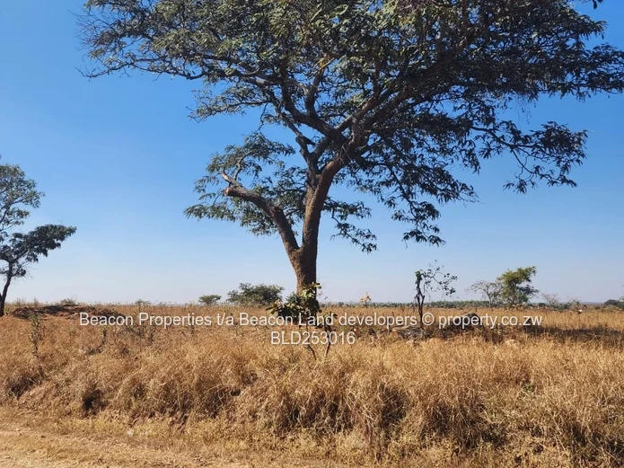 Prime Hurngwe Plots For Sale 