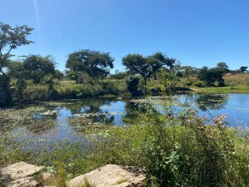 Farm & Agricultural Land