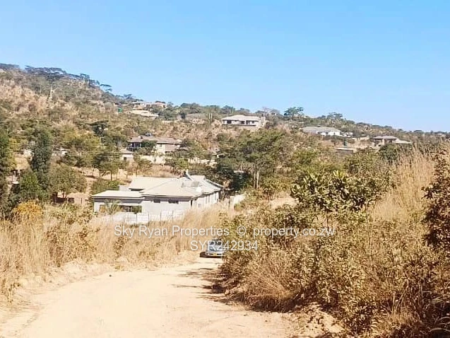 Crowhill Cleverhills Stand For Sale