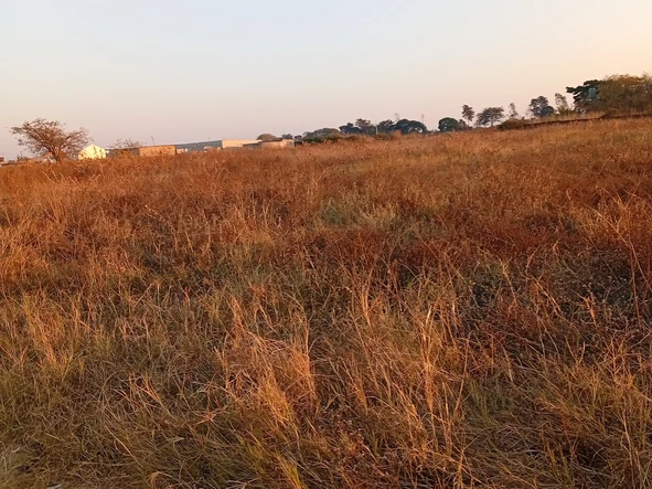 Commercial & Industrial Land