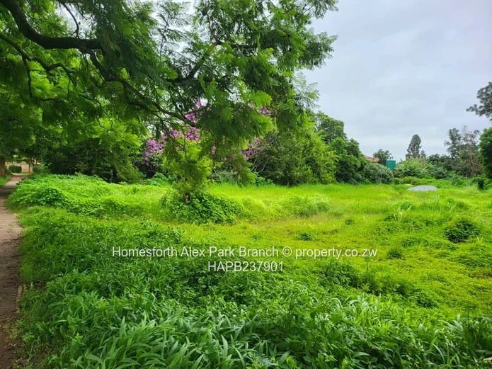 An investment opportunity...