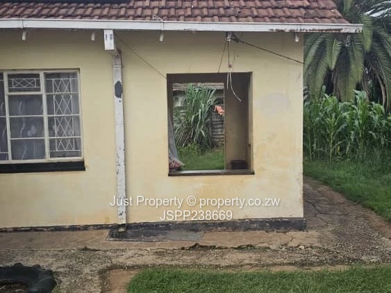 Renovator’s Delight 