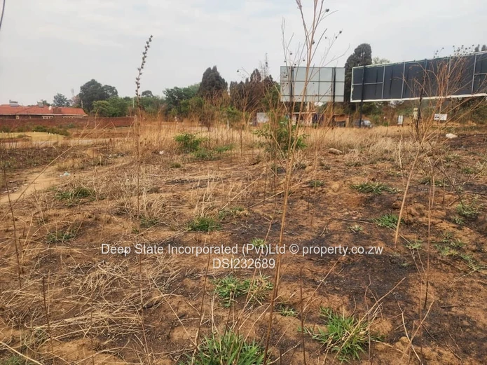 Glaudina stand for sale. 