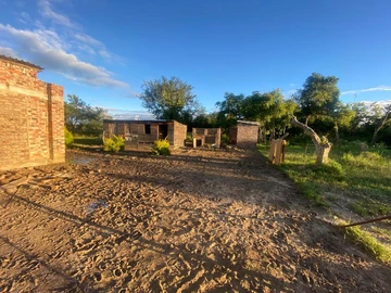 Farm & Agricultural Land