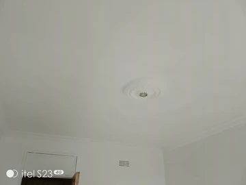 Flat & Apartment