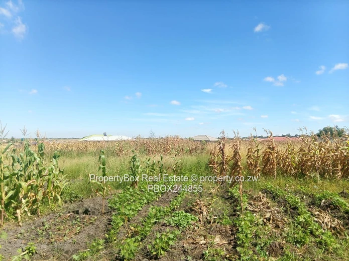 Vacant Stand for Sale in Hatfield Estate