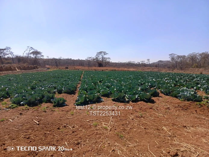 Mazowe Farm For Sale  (Sole Mandate)