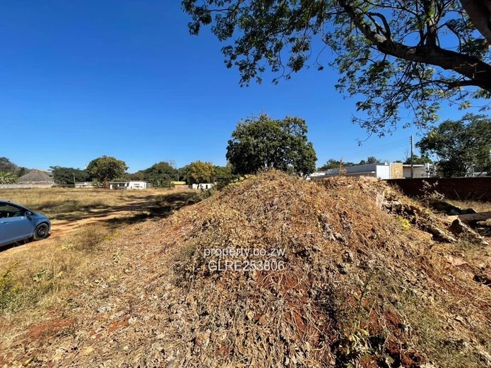 Vacant 8019m² Vainona Stand — Subdividable & Serviced