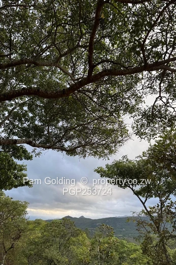 Juliasdale Property for Sale