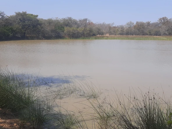 Farm & Agricultural Land