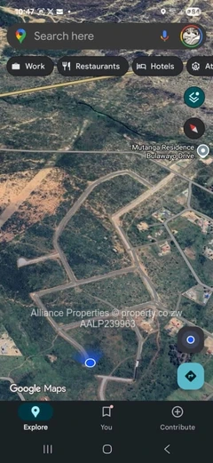 Investment Opportunity