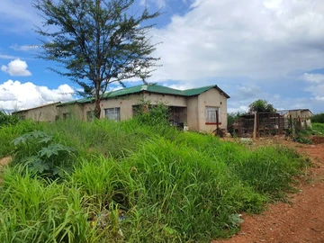 Stands & Residential Land