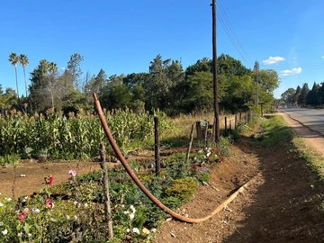 Farm & Agricultural Land