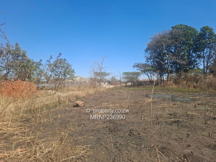 Sawara Hills Crowhill Phase stands for sale