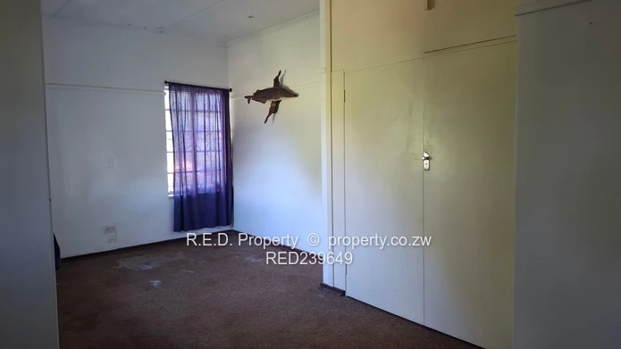 Space, Location, and Opportunity Combined In Kumalo!