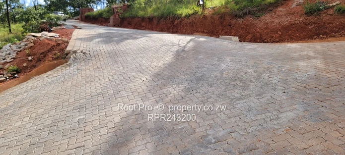 Borrowdale Carrick Creagh Stands For Sale