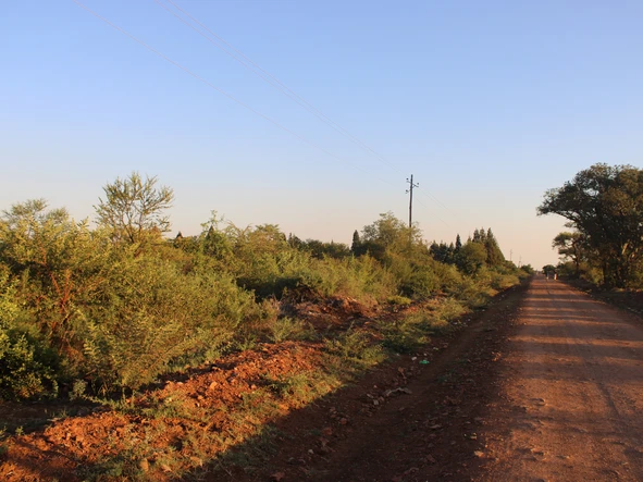 Commercial & Industrial Land