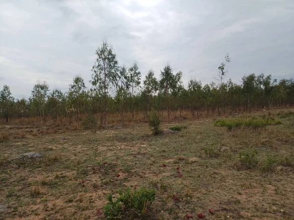 Farm & Agricultural Land