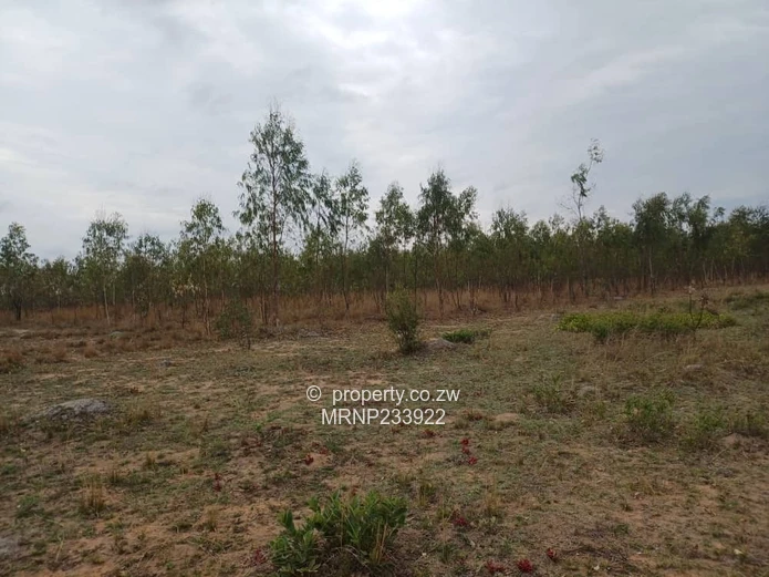 Headlands Eagle Nest Plot for sale (Sole Mandate)