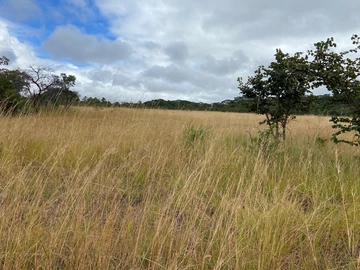 Farm & Agricultural Land