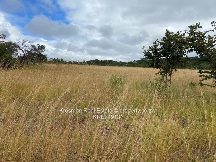 Plot For Sale
