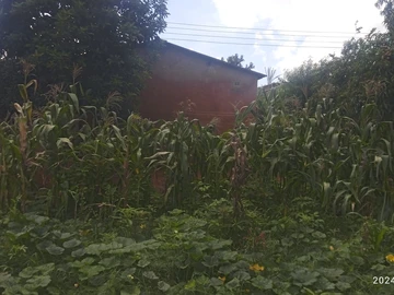 Residential 300 m² Land for Sale with a cottage in Hatcliffe, Borrowdale, Harare.