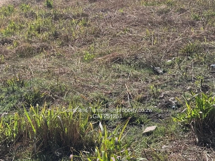 Fairview Residential Cluster Stands