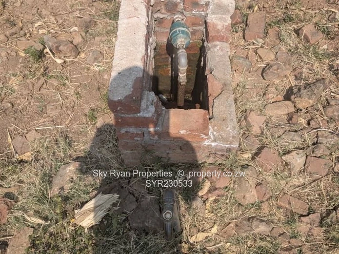 Helensvale (Elshadai) Stand For Sale 