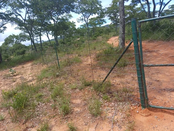 Farm & Agricultural Land