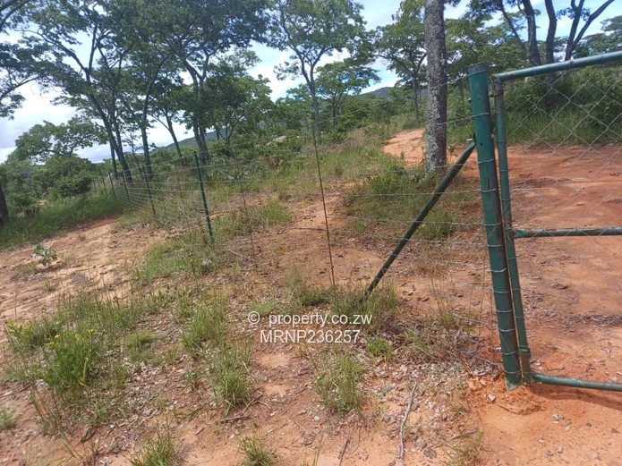 Headlands EagleNest Plot for sale (Sole Mandate)