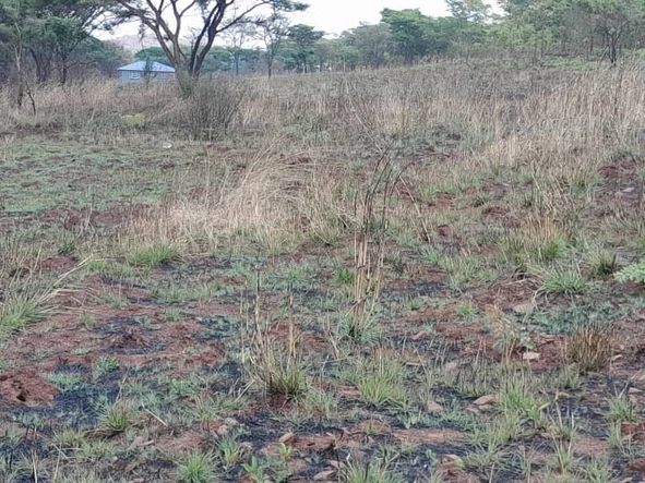 Farm & Agricultural Land