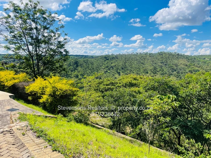 Palatial Establishment With Panoramic Views! (Sole Mandate)