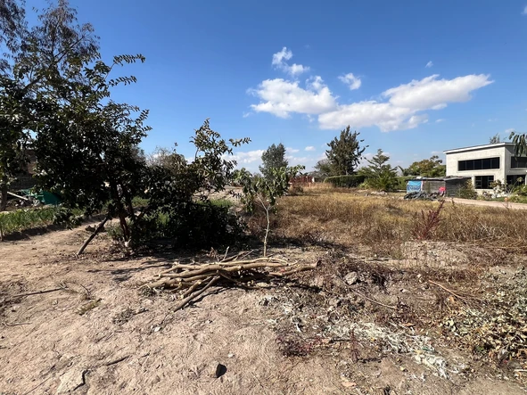 Stands & Residential Land