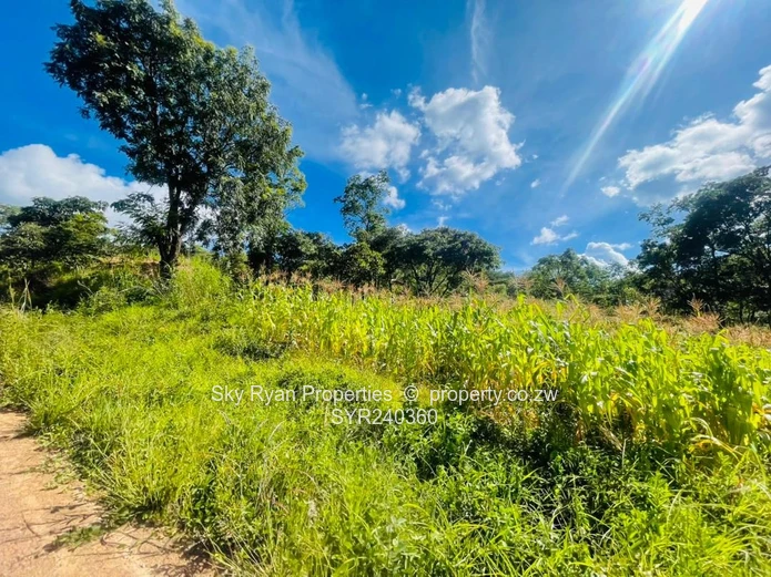 CARRICK CREAGH 2 STANDs FOR SALE