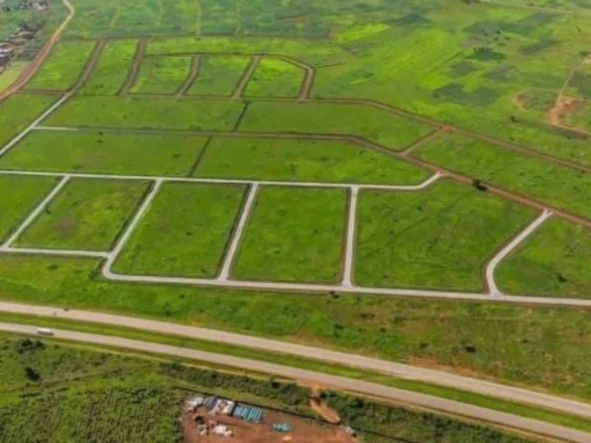 Stands & Residential Land