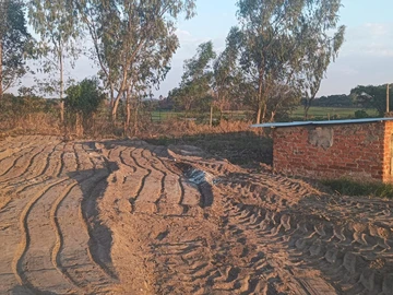 Stands & Residential Land