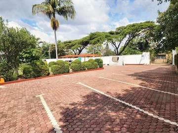Commercial Property