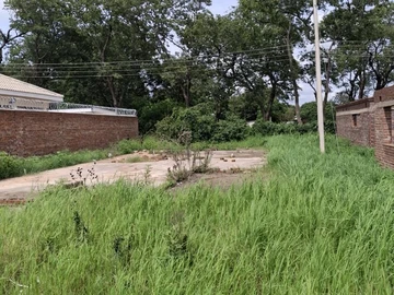 Stands & Residential Land