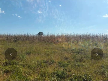 Farm & Agricultural Land