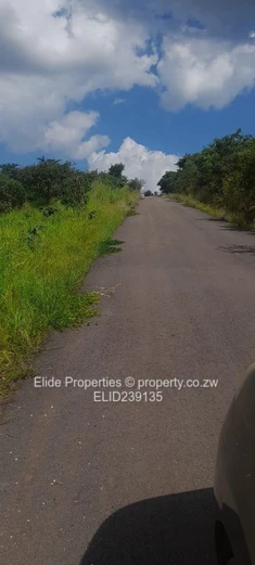 Pomona-Buckland Terrance Stand for Sale (Sole Mandate)