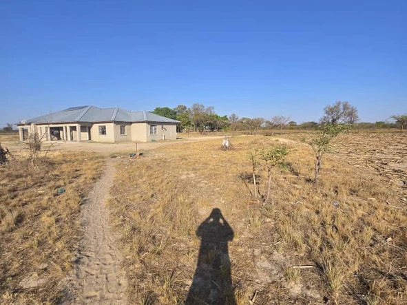 Farm & Agricultural Land