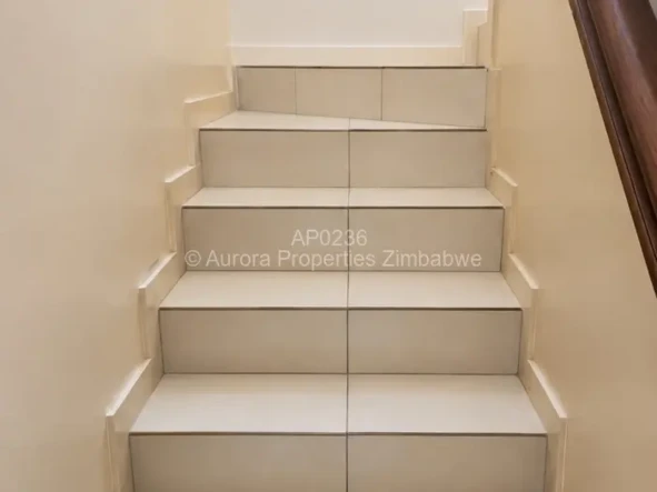 3 Bedroom Flat & Apartment
