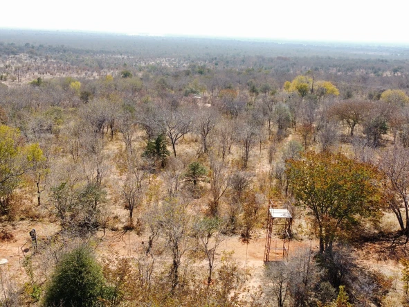 Commercial & Industrial Land