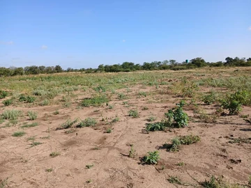 Rusape Dowa Farm For Sale 